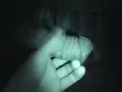A man brought a camera to the stable to record the man jerking off this donkey's cock.